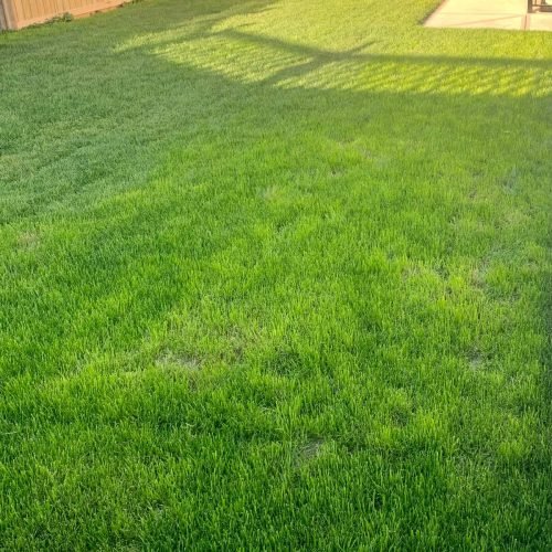 273244a2-f900-4319-bb90-8641f702d397